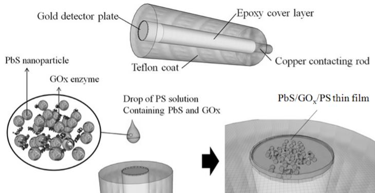 Fast synthesis of PbS nanoparticles for fabrication of glucose sensor with enhanced sensitivity